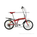 Hi-ten frame 20"Fashion Popular folding Bicycle(TMF-20BA)
